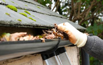 gutter cleaning Cricket St Thomas, Somerset