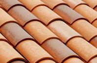 Cricket St Thomas clay roofing